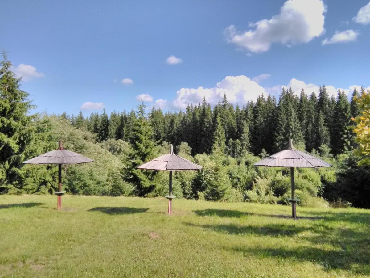 Casa Paltin Vila Si Cabane Poiana Stampei Eksteriør billede