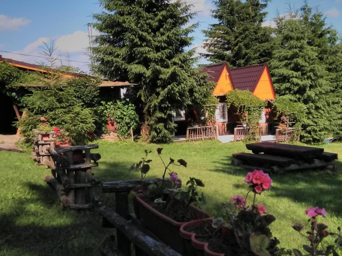 Casa Paltin Vila Si Cabane Poiana Stampei Eksteriør billede