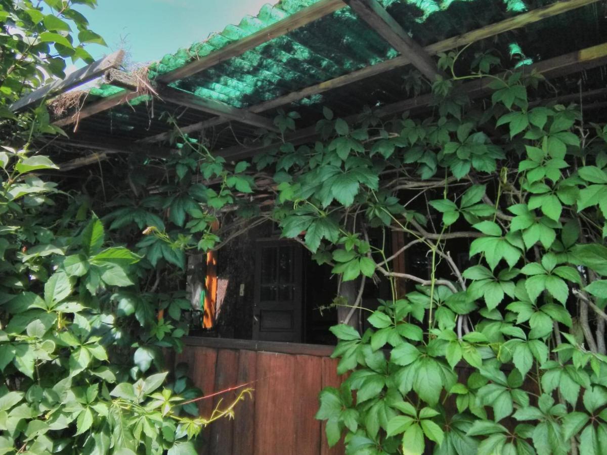 Casa Paltin Vila Si Cabane Poiana Stampei Eksteriør billede
