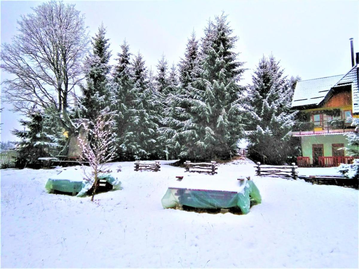 Casa Paltin Vila Si Cabane Poiana Stampei Eksteriør billede
