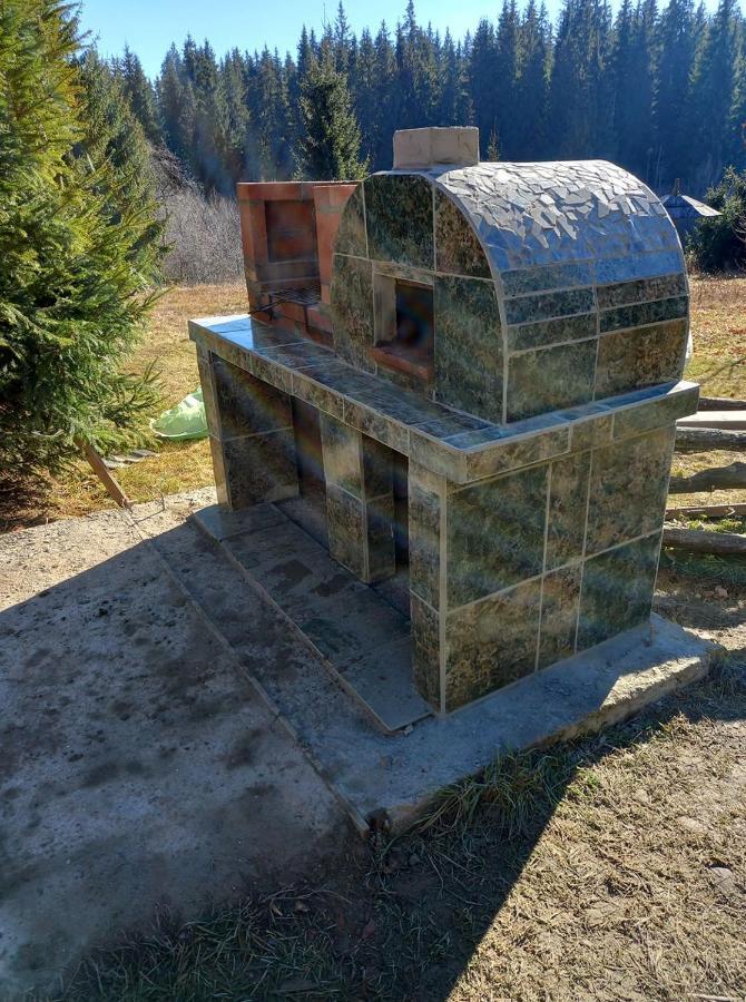 Casa Paltin Vila Si Cabane Poiana Stampei Eksteriør billede