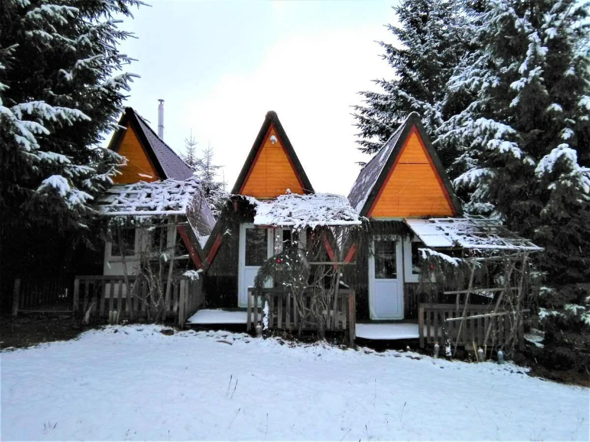 Casa Paltin Vila Si Cabane Poiana Stampei Eksteriør billede
