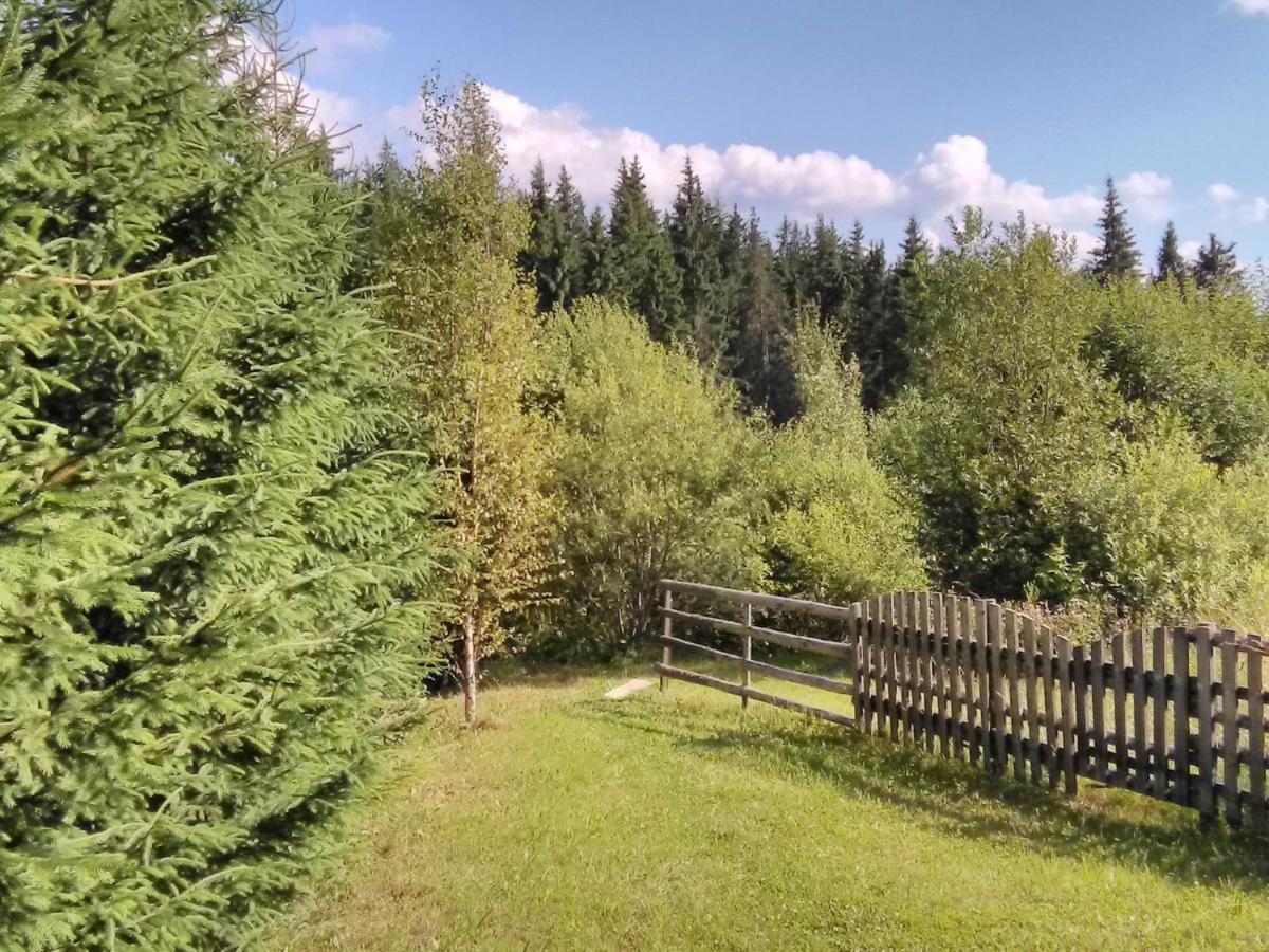 Casa Paltin Vila Si Cabane Poiana Stampei Eksteriør billede