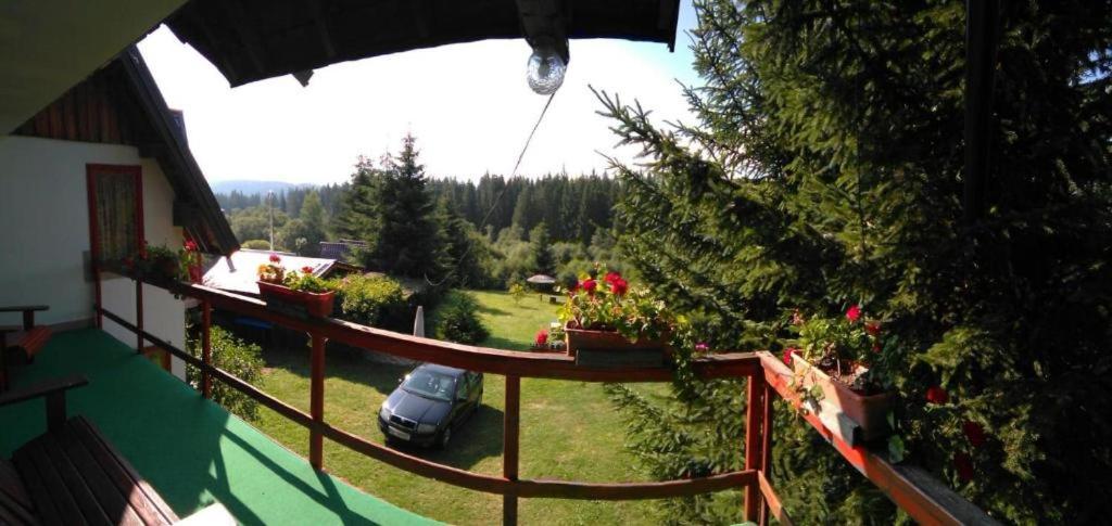 Casa Paltin Vila Si Cabane Poiana Stampei Eksteriør billede